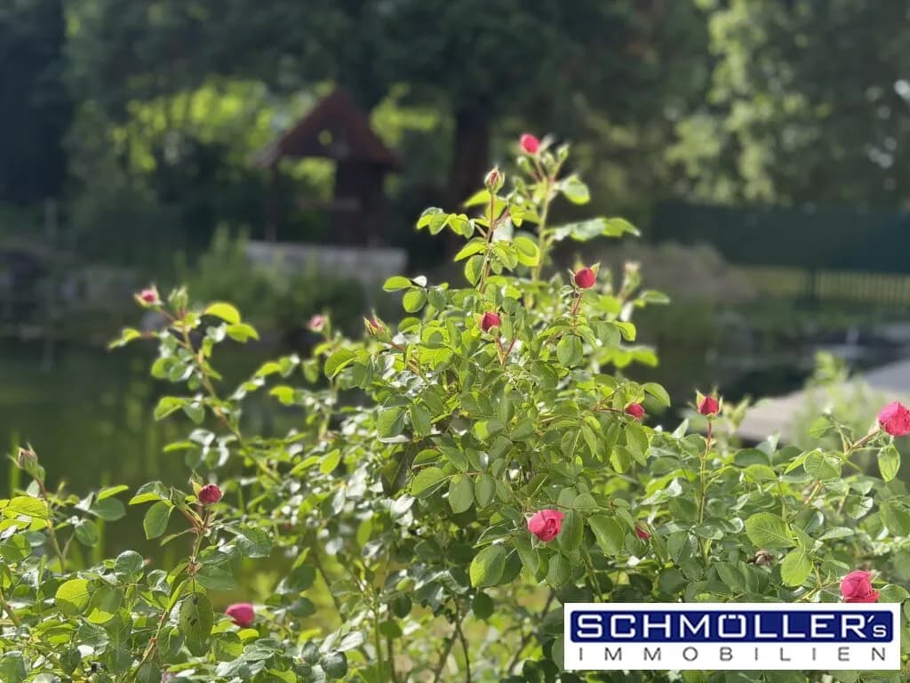 7-Zimmer-Haus kaufen in Wels – 290 m² – Bild 19 von 65
