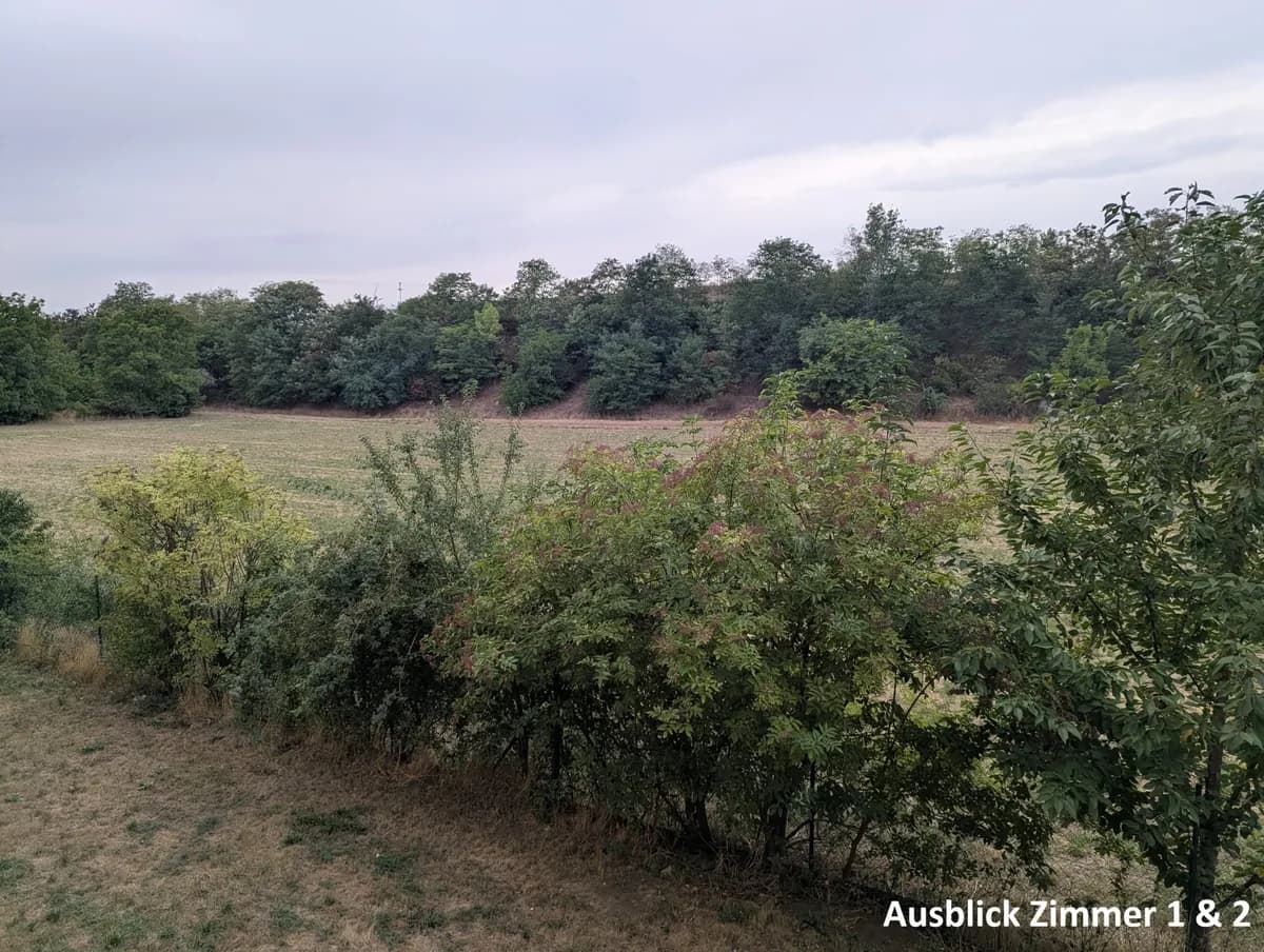 4-Zimmer-Wohnung mieten in Mistelbach – 111 m², € 1.390 – Bild 32 von 36