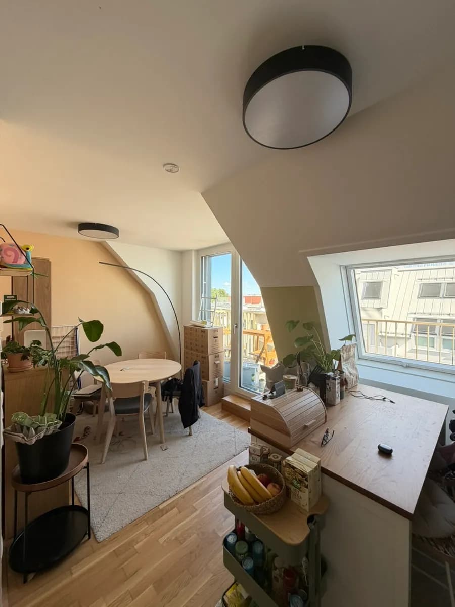 3-Zimmer-Wohnung mieten in Wien – 66 m², € 1.350
