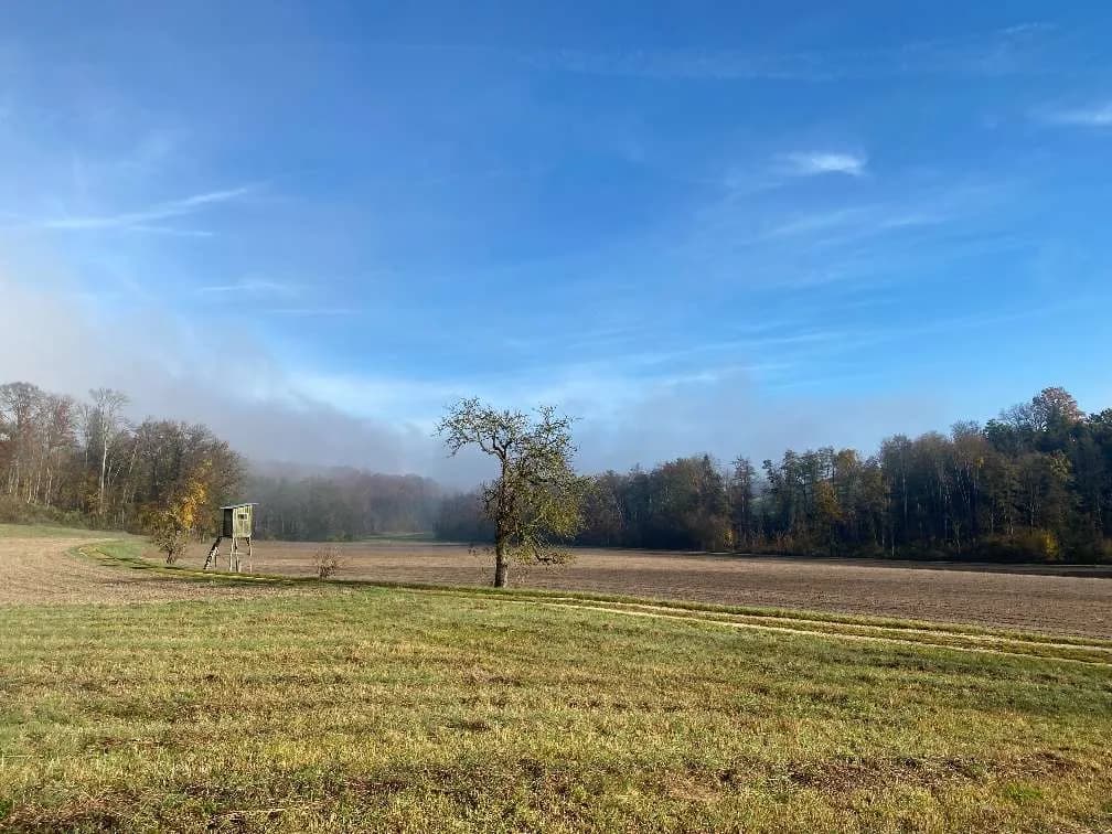 Grundstück kaufen in Steyr-Land – 77 000 m²