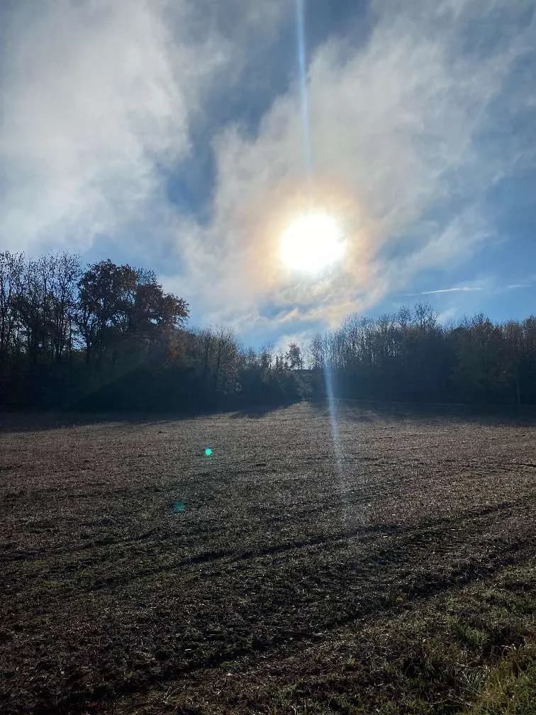 Grundstück kaufen in Steyr-Land – 77 000 m² – Bild 3 von 6
