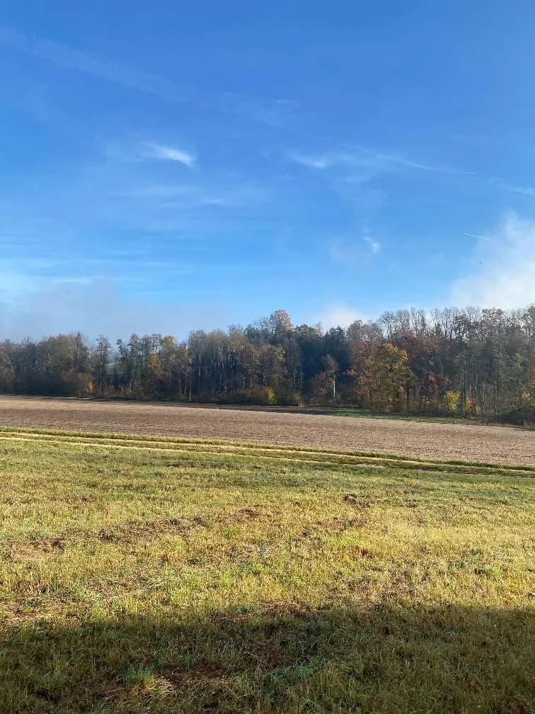 Grundstück kaufen in Steyr-Land – 77 000 m² – Bild 4 von 6