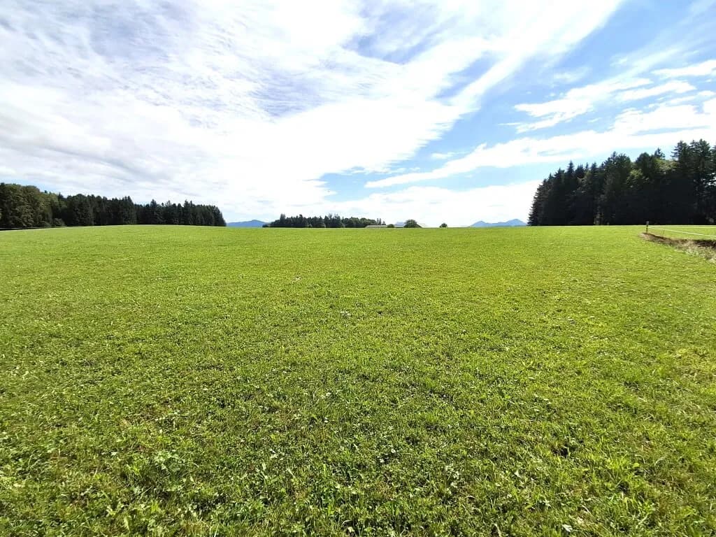 Grundstück kaufen in Salzburg-Umgebung – 730 m², € 395.000