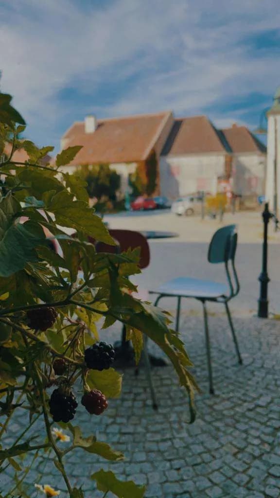 6-Zimmer-Gewerbeimmobilie kaufen in Horn – 100 m², € 99.000 – Bild 10 von 10