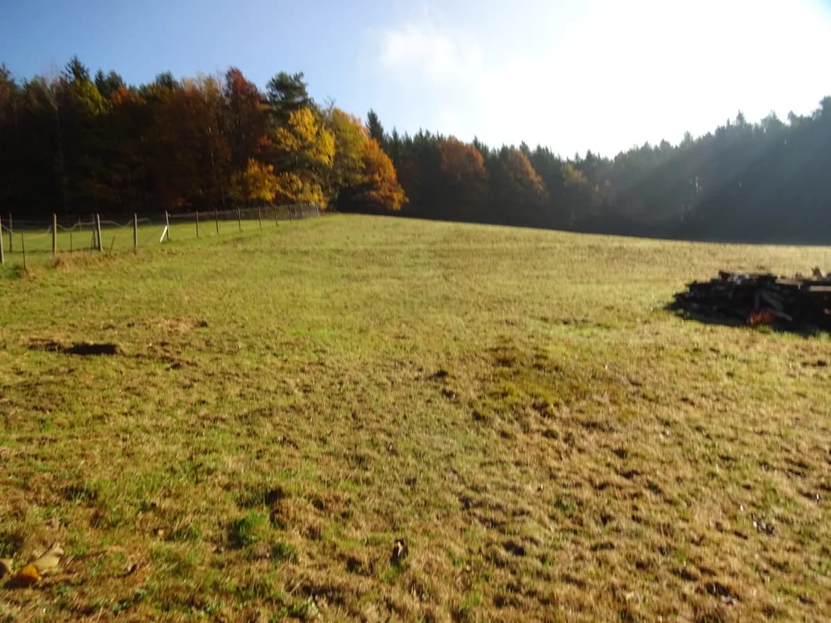 Immobilie kaufen in Braunau am Inn – 12 947 m², € 695.000 – Bild 5 von 6
