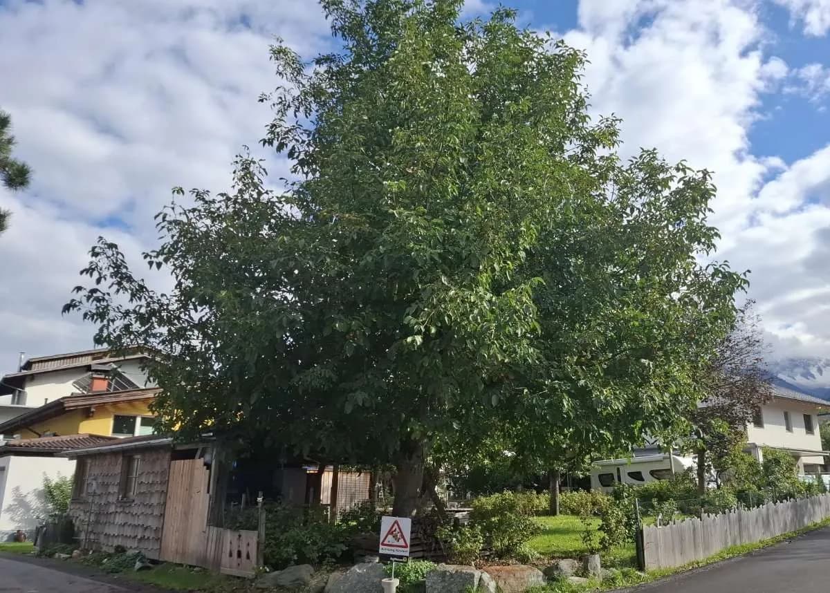 Grundstück kaufen in Innsbruck-Land – 456 m², € 433.200 – Bild 14 von 15