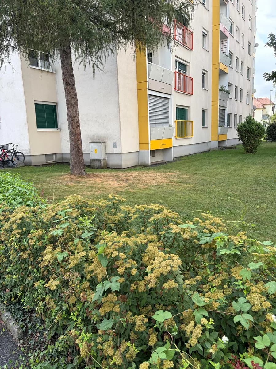 3-Zimmer-Wohnung kaufen in Graz – 73 m², € 350.000