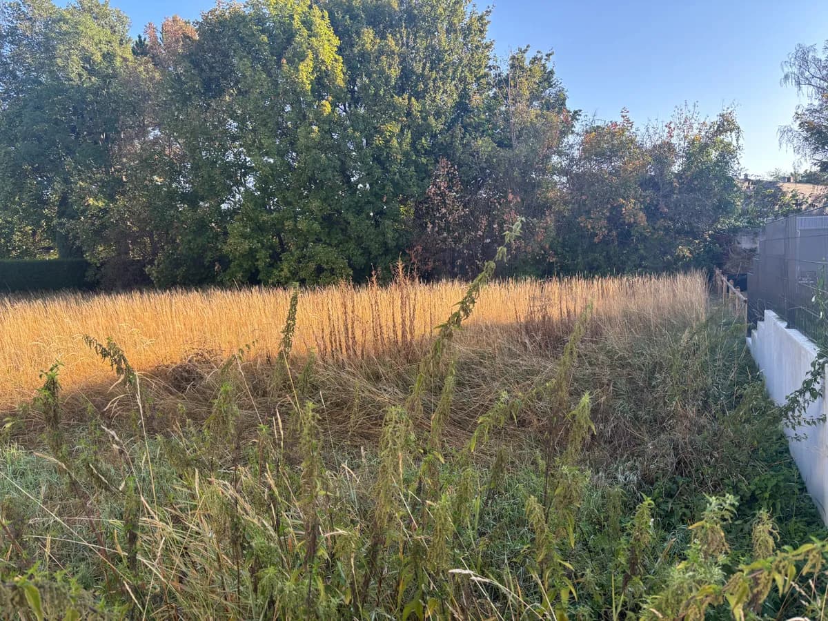 Grundstück kaufen in Wels-Land – 781 m², € 400.000