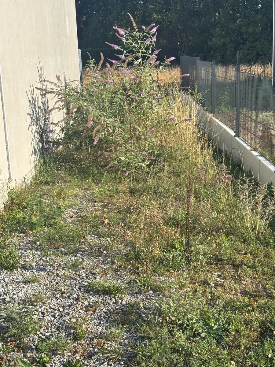 Grundstück kaufen in Wels-Land – 781 m², € 400.000 – Bild 3 von 4