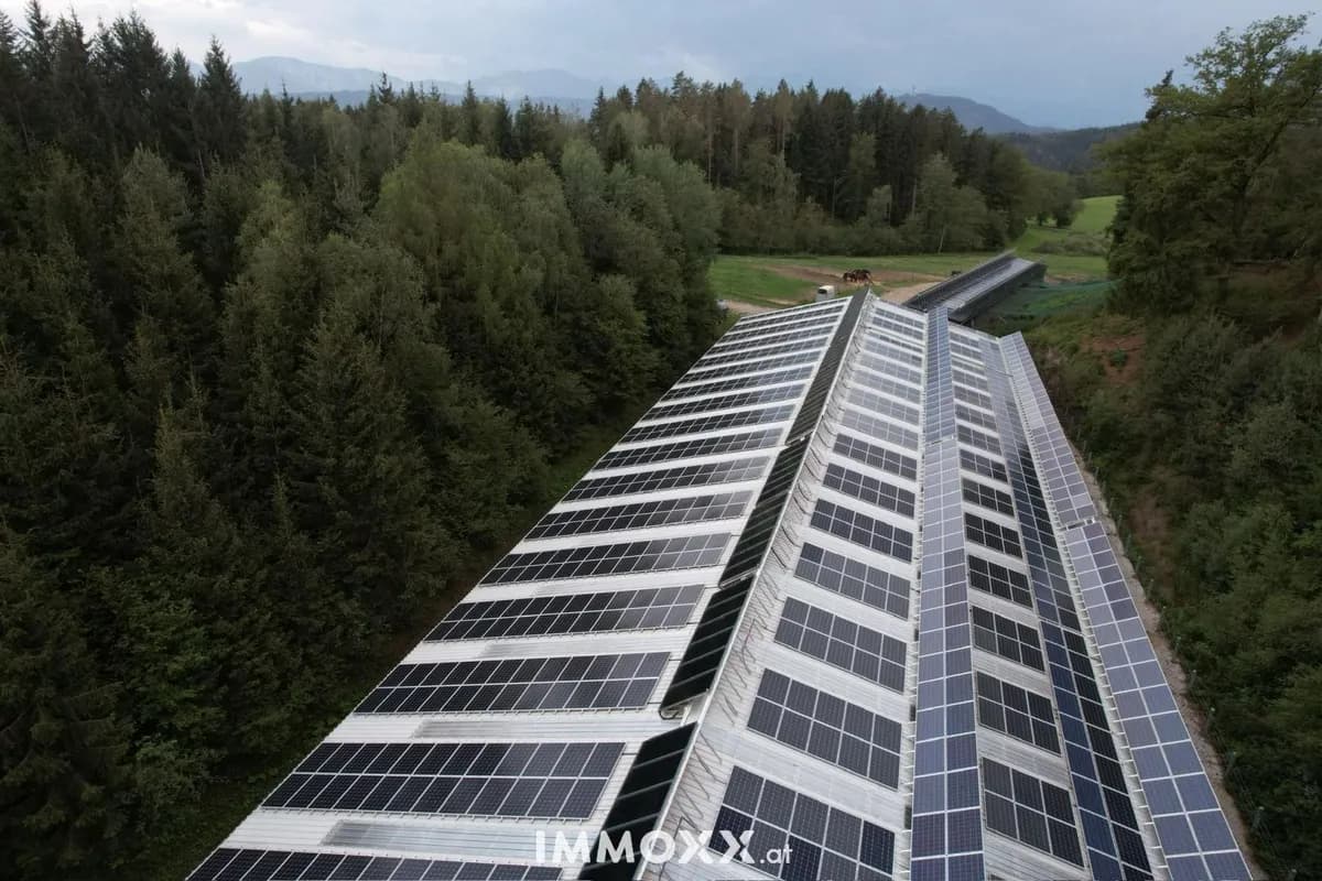 Gewerbeimmobilie kaufen in Klagenfurt Land – 1 000 m² – Bild 4 von 9