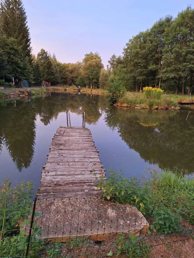 Immobilie kaufen in Horn – 7 200 m², € 169.000 – Bild 2 von 18