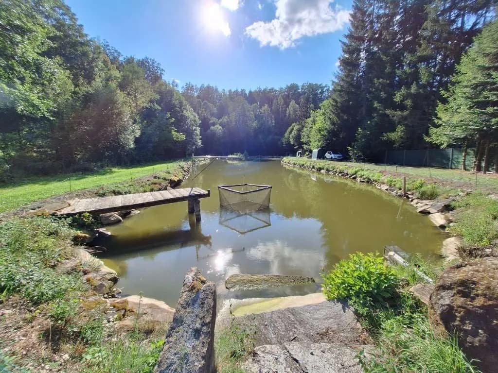 Immobilie kaufen in Horn – 7 200 m², € 169.000 – Bild 3 von 18