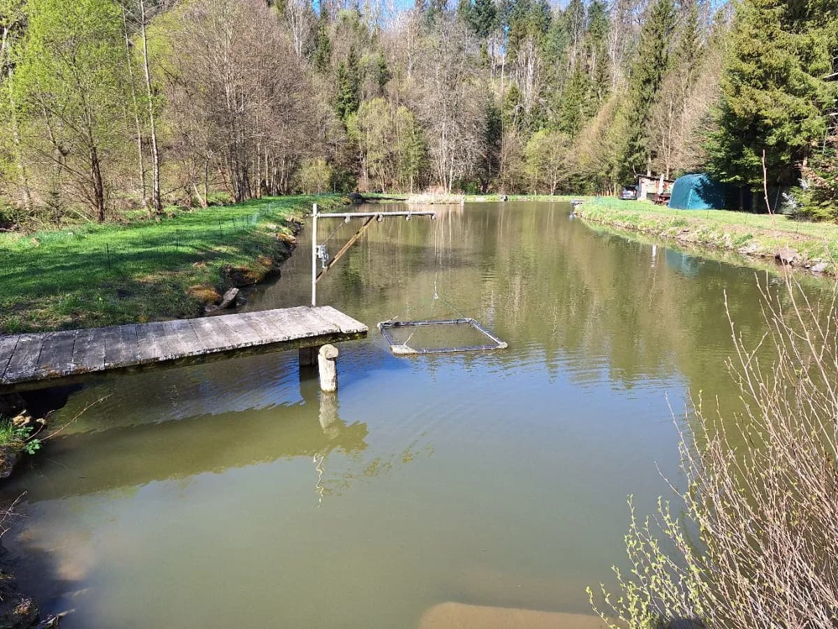 Immobilie kaufen in Horn – 7 200 m², € 169.000 – Bild 5 von 18
