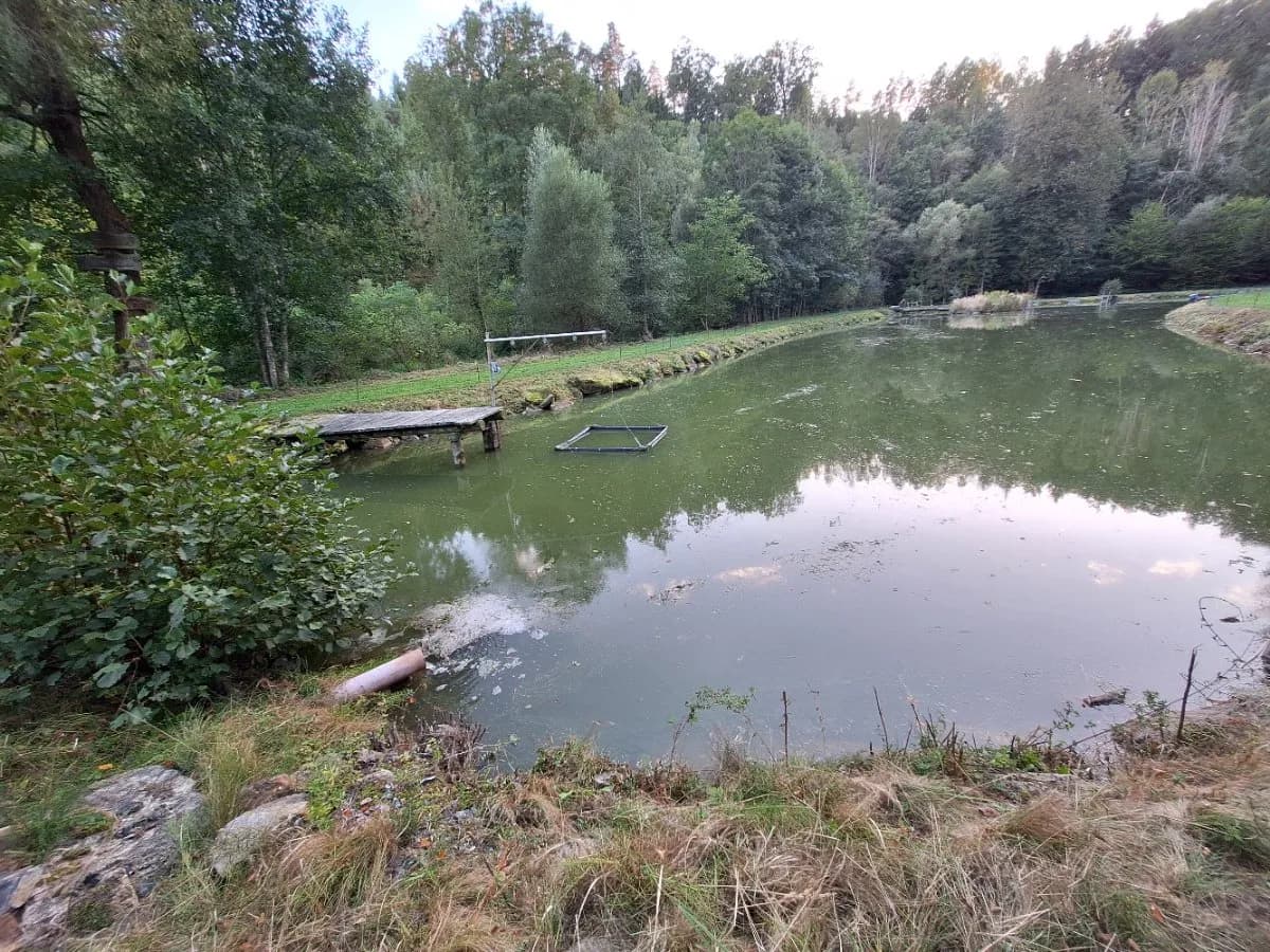 Immobilie kaufen in Horn – 7 200 m², € 169.000 – Bild 8 von 18