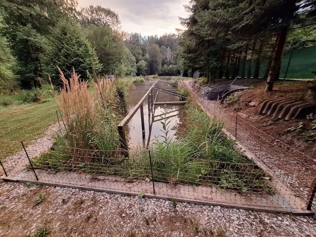 Immobilie kaufen in Horn – 7 200 m², € 169.000 – Bild 10 von 18