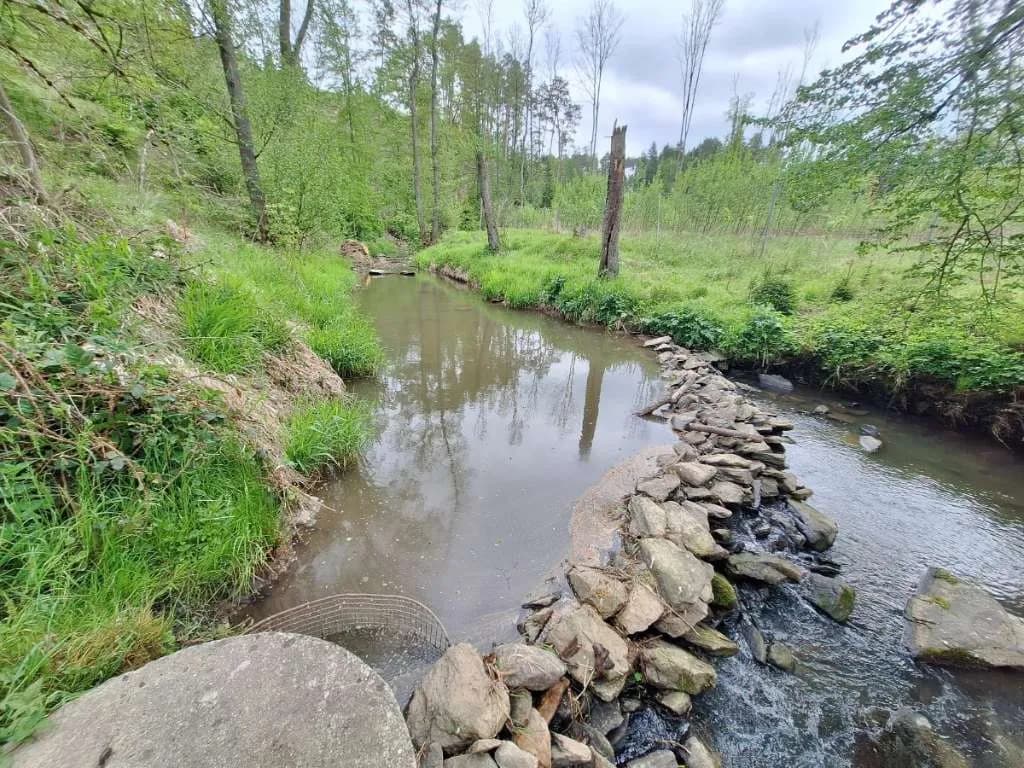 Immobilie kaufen in Horn – 7 200 m², € 169.000 – Bild 11 von 18
