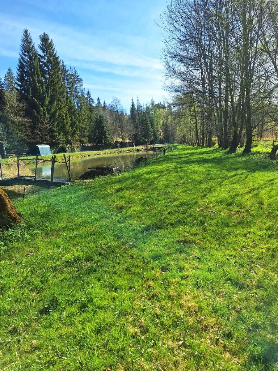 Immobilie kaufen in Horn – 7 200 m², € 169.000 – Bild 13 von 18