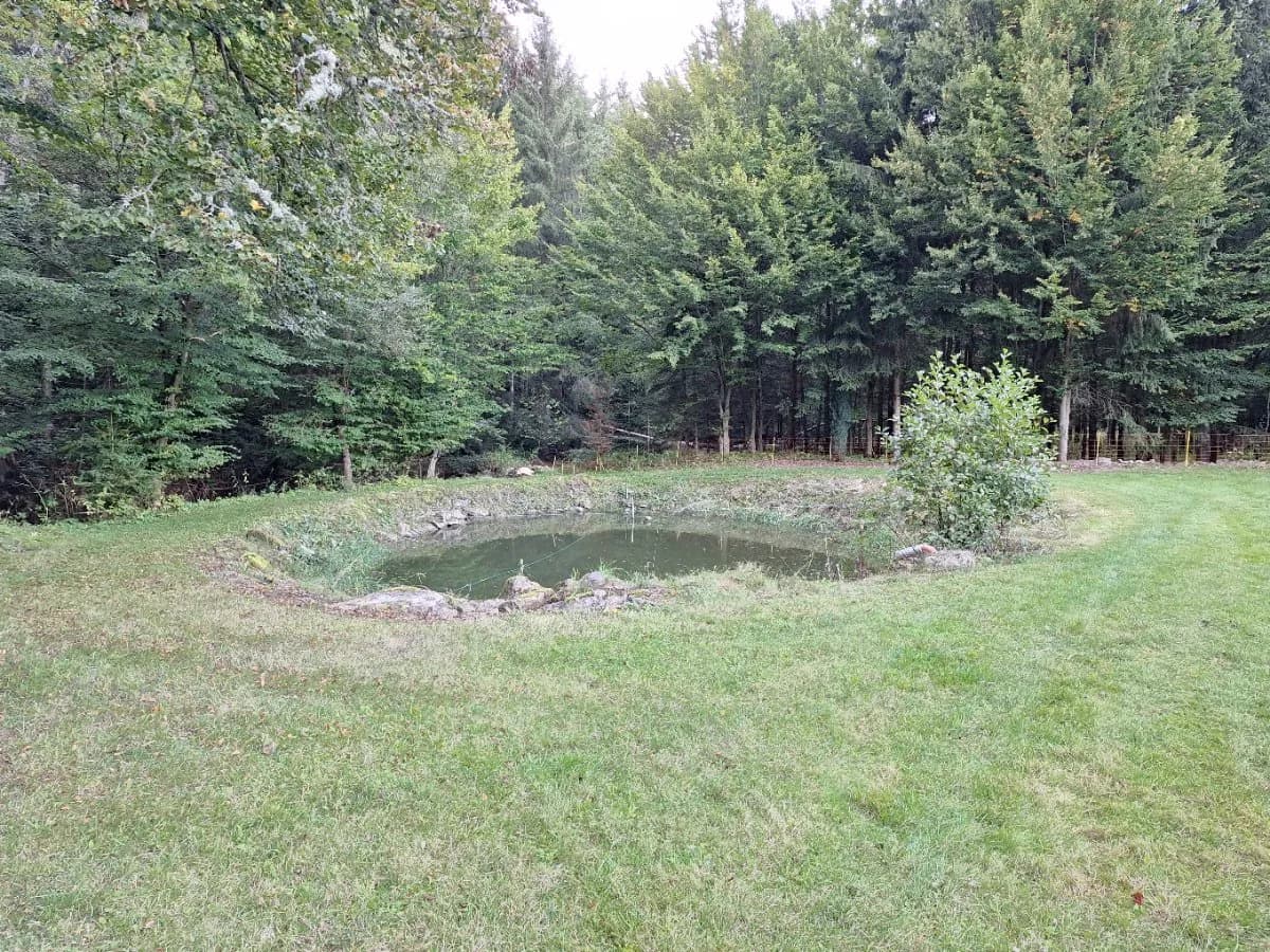 Immobilie kaufen in Horn – 7 200 m², € 169.000 – Bild 16 von 18