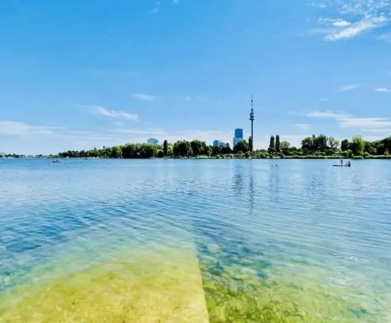 3-Zimmer-Wohnung mieten in Wien – 85 m², € 2.050 – Bild 17 von 17