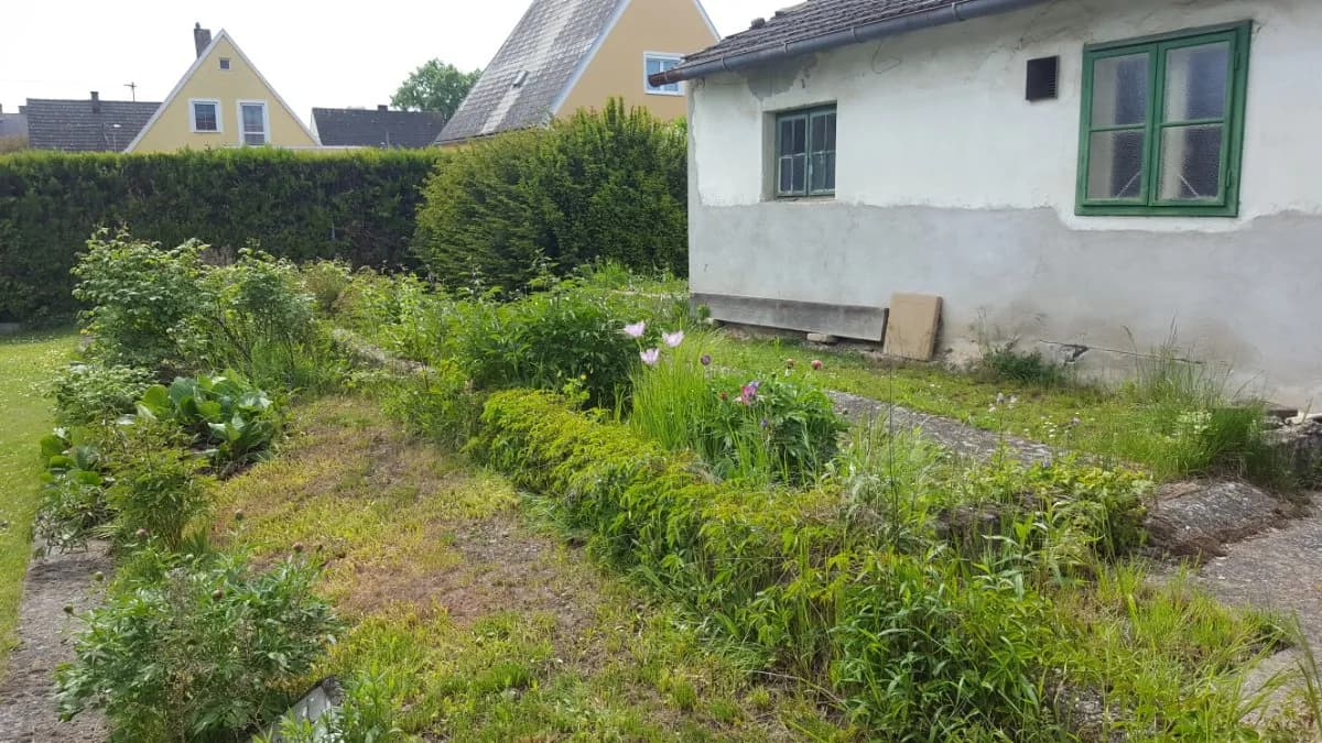 Haus kaufen in Gänserndorf – 69 m², € 139.000 – Bild 7 von 7