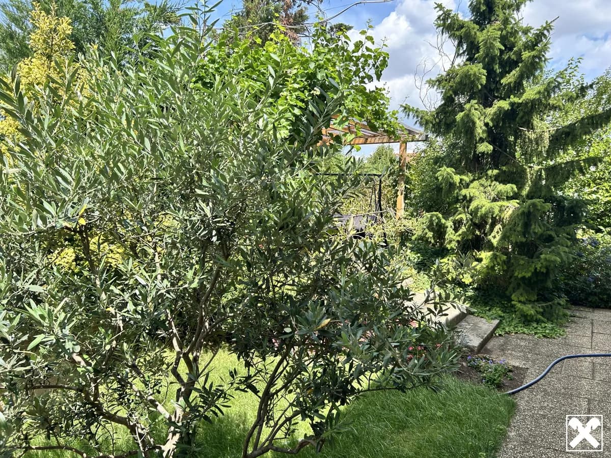10-Zimmer-Gewerbeimmobilie kaufen in Gänserndorf – 380 m², € 1.350.000 – Bild 26 von 39