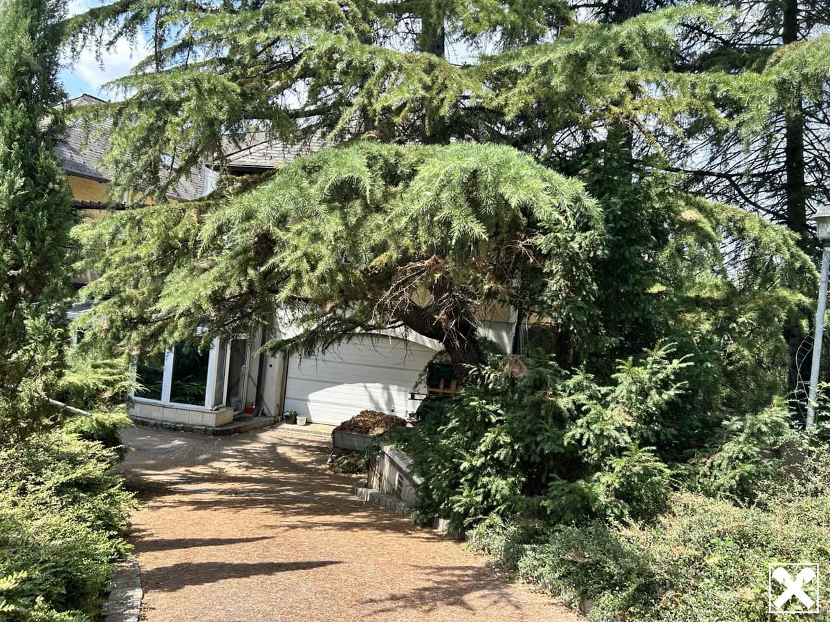 10-Zimmer-Gewerbeimmobilie kaufen in Gänserndorf – 380 m², € 1.350.000 – Bild 32 von 39