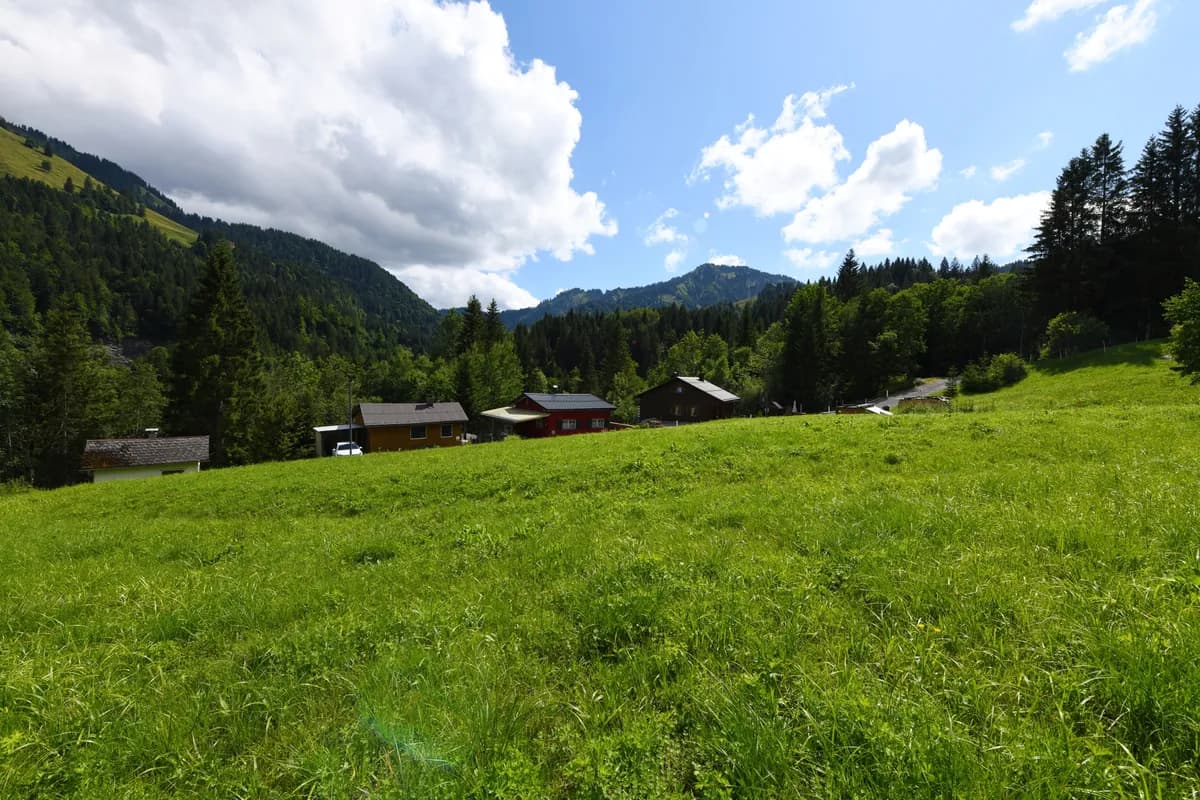 Grundstück kaufen in Dornbirn – 603 m² – Bild 5 von 11