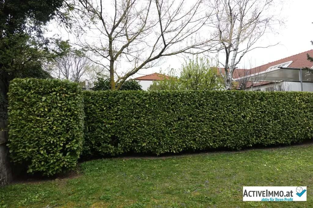 Grundstück kaufen in Mödling – 1 339 m², € 590.000 – Bild 7 von 8
