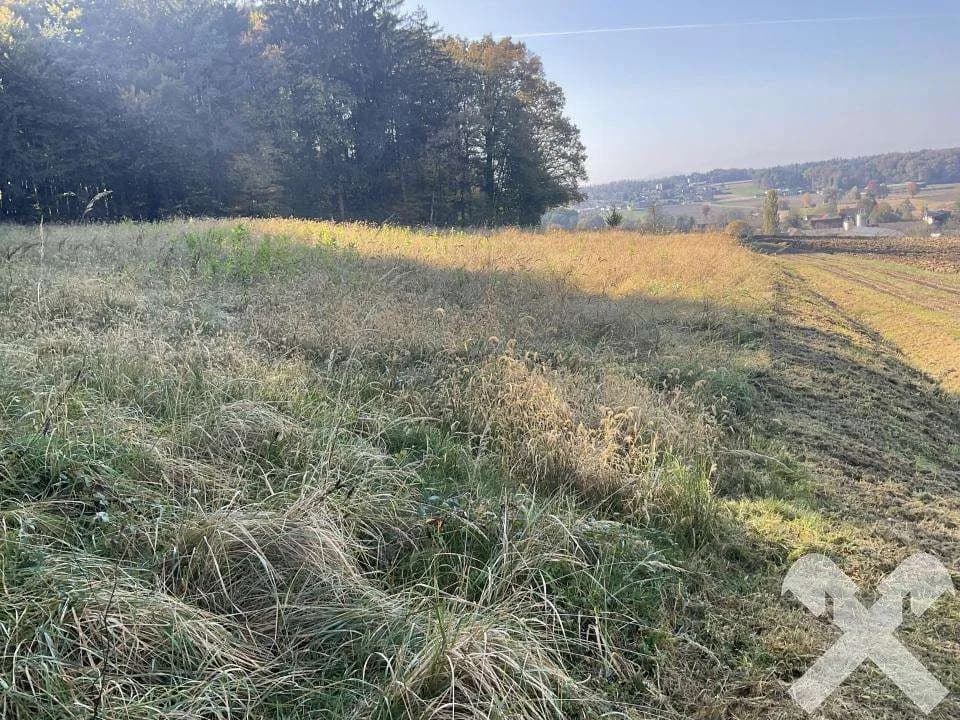 Grundstück kaufen in Leibnitz – 4 384 m², € 43.840