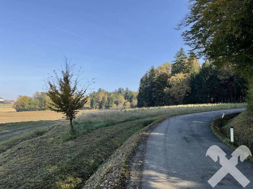 Grundstück kaufen in Leibnitz – 4 384 m², € 43.840 – Bild 2 von 4