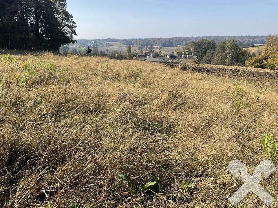 Grundstück kaufen in Leibnitz – 4 384 m², € 43.840 – Bild 4 von 4