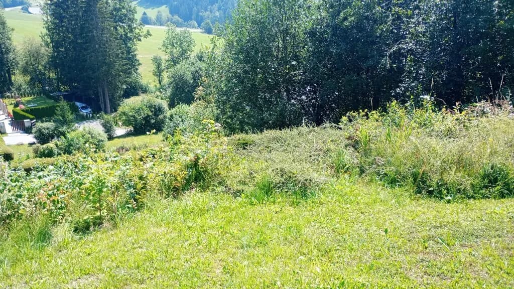 Grundstück kaufen in Bruck-Mürzzuschlag – 3 143 m², € 99.000 – Bild 2 von 5