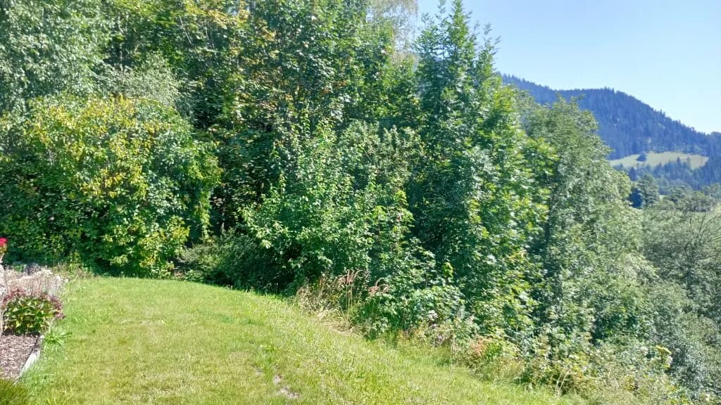 Grundstück kaufen in Bruck-Mürzzuschlag – 3 143 m², € 99.000 – Bild 3 von 5