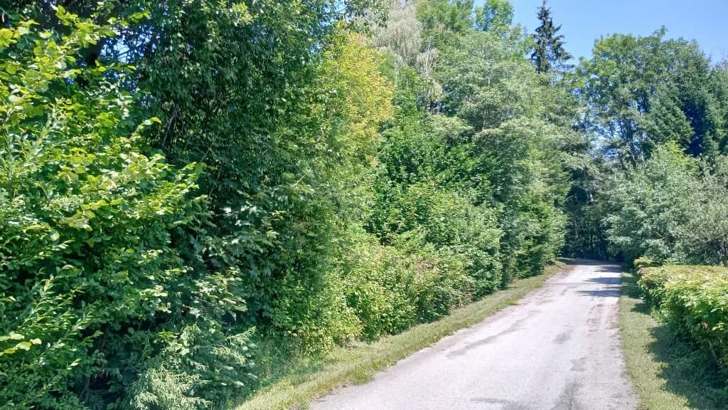 Grundstück kaufen in Bruck-Mürzzuschlag – 3 143 m², € 99.000 – Bild 4 von 5