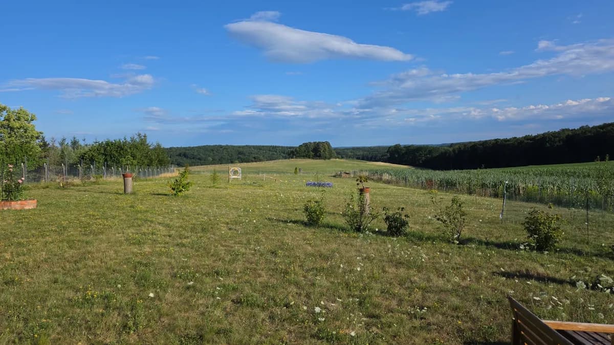 Wohnung kaufen in Güssing – 100 m², € 109.000 – Bild 27 von 31