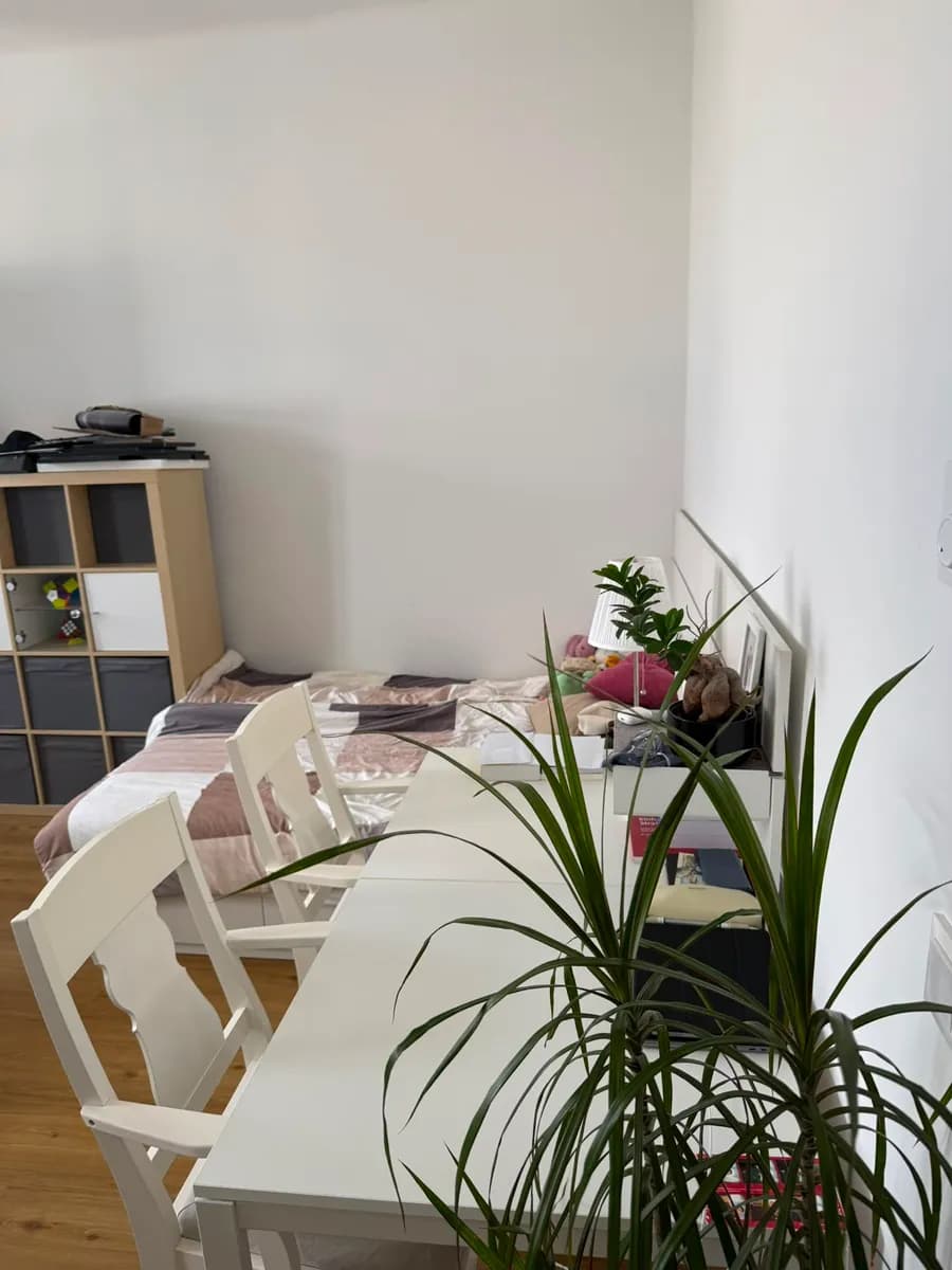 1-Zimmer-Wohnung mieten in Wien – 34 m², € 429 – Bild 2 von 13