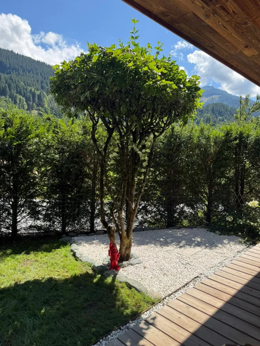 1-Zimmer-Wohnung mieten in Kitzbühel – 62 m², € 1.700 – Bild 3 von 20