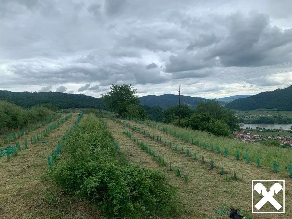 Grundstück kaufen in Krems Land – 654 m², € 42.510 – Bild 3 von 8