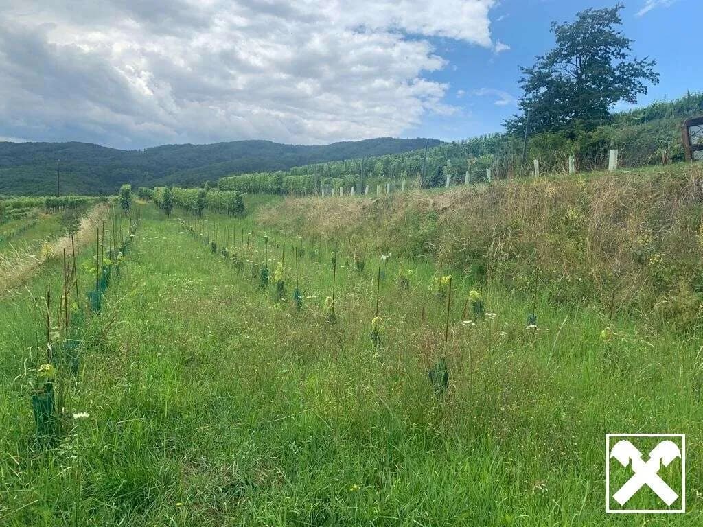 Grundstück kaufen in Krems Land – 654 m², € 42.510 – Bild 6 von 8