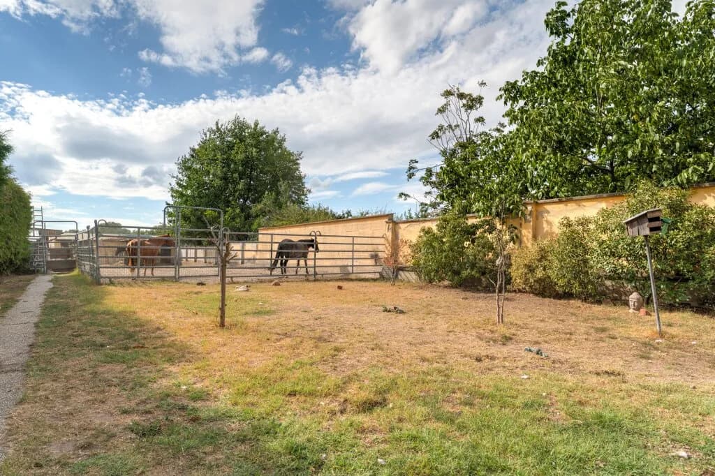 Gewerbeimmobilie kaufen in Gänserndorf – 277 m², € 499.000 – Bild 8 von 29