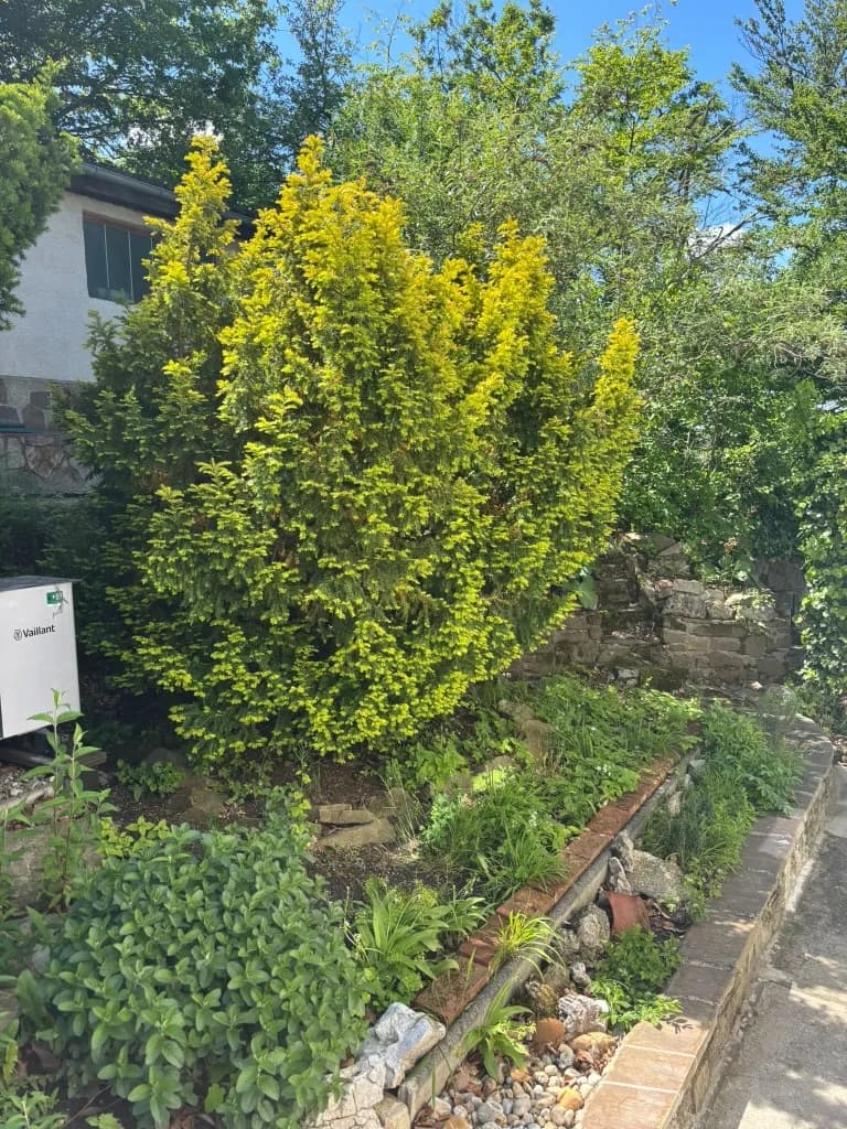 Haus kaufen in Wien – 130 m², € 790.000 – Bild 11 von 62