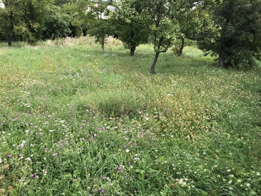 Grundstück kaufen in Mödling – 609 m², € 585.000 – Bild 2 von 7