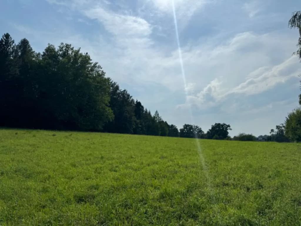 4-Zimmer-Wohnung kaufen in Linz – 93 m², € 519.000 – Bild 3 von 10