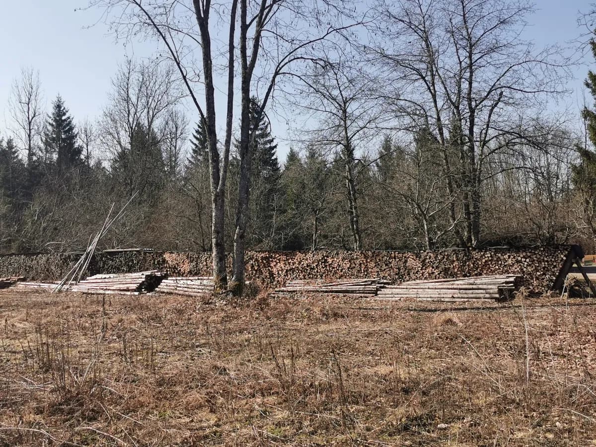 Grundstück kaufen in Villach Land – 1 584 m², € 410.000 – Bild 5 von 19