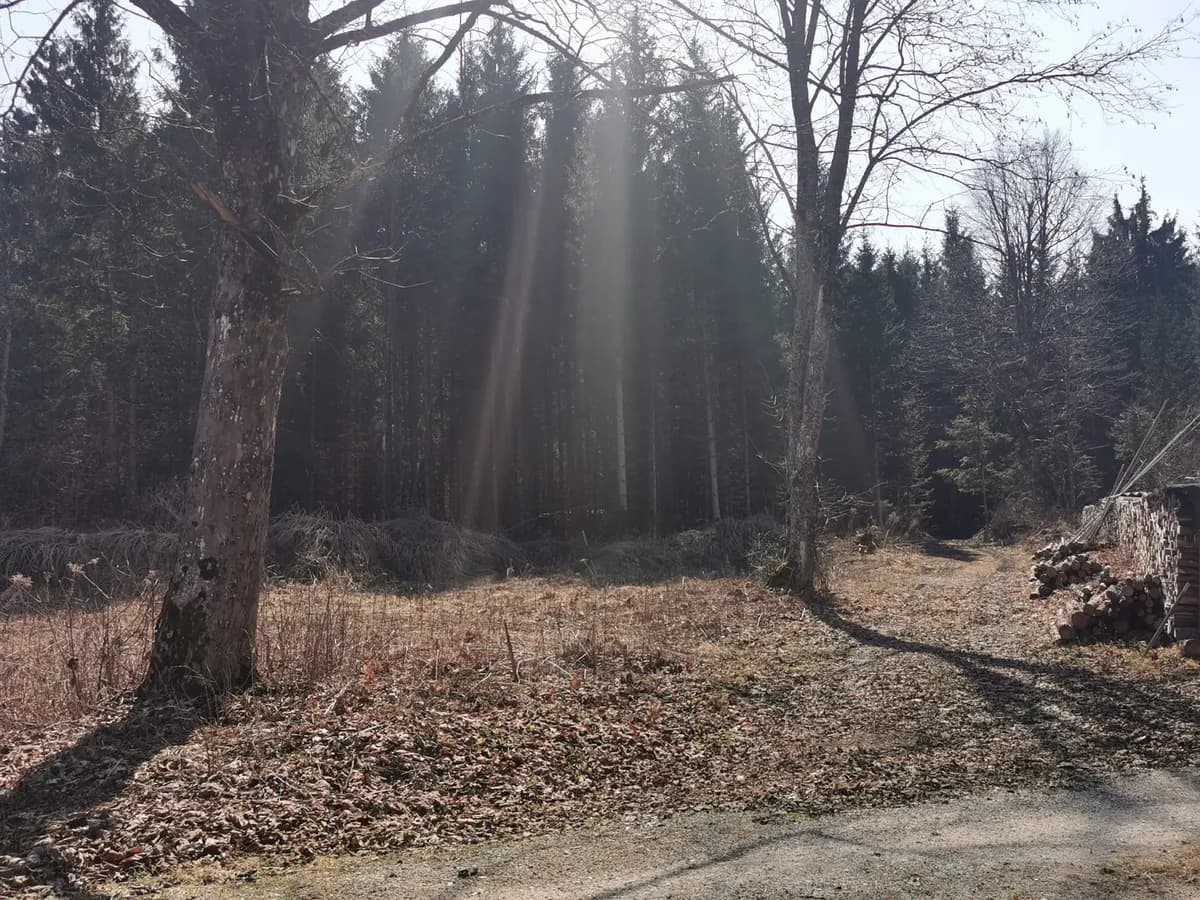 Grundstück kaufen in Villach Land – 1 584 m², € 410.000 – Bild 9 von 19