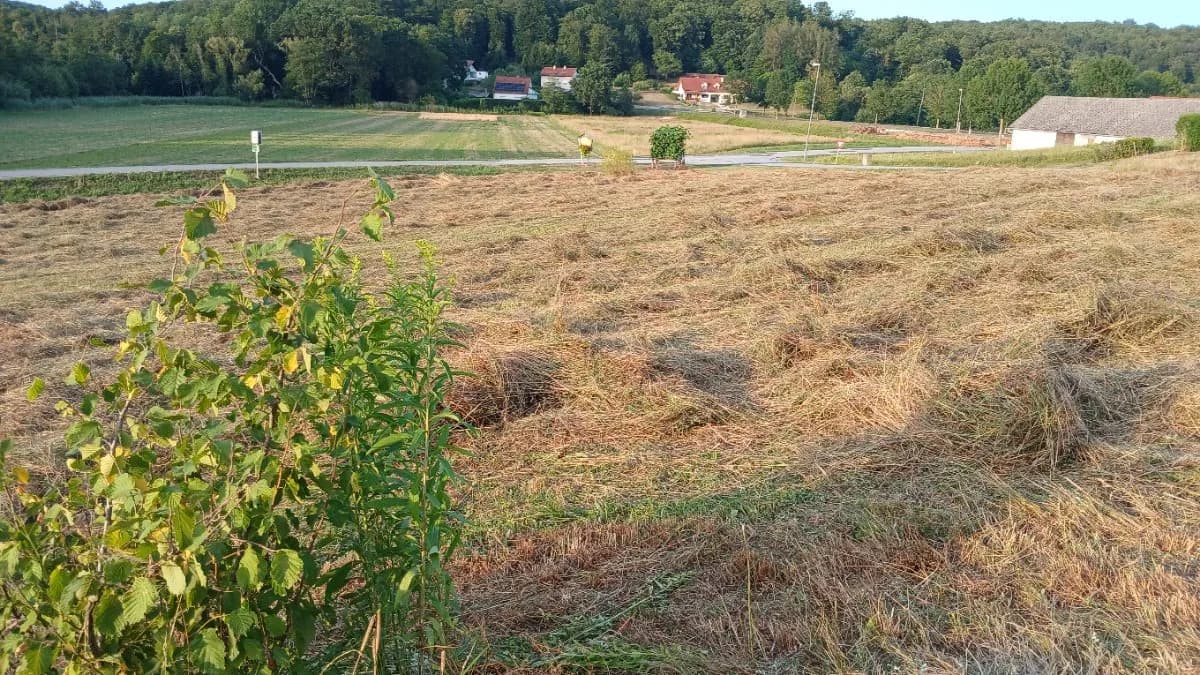 Grundstück kaufen in Güssing – 1 411 m², € 40.000 – Bild 2 von 5