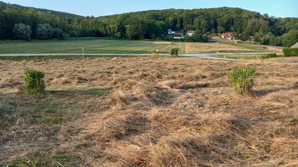 Grundstück kaufen in Güssing – 1 411 m², € 40.000 – Bild 3 von 5