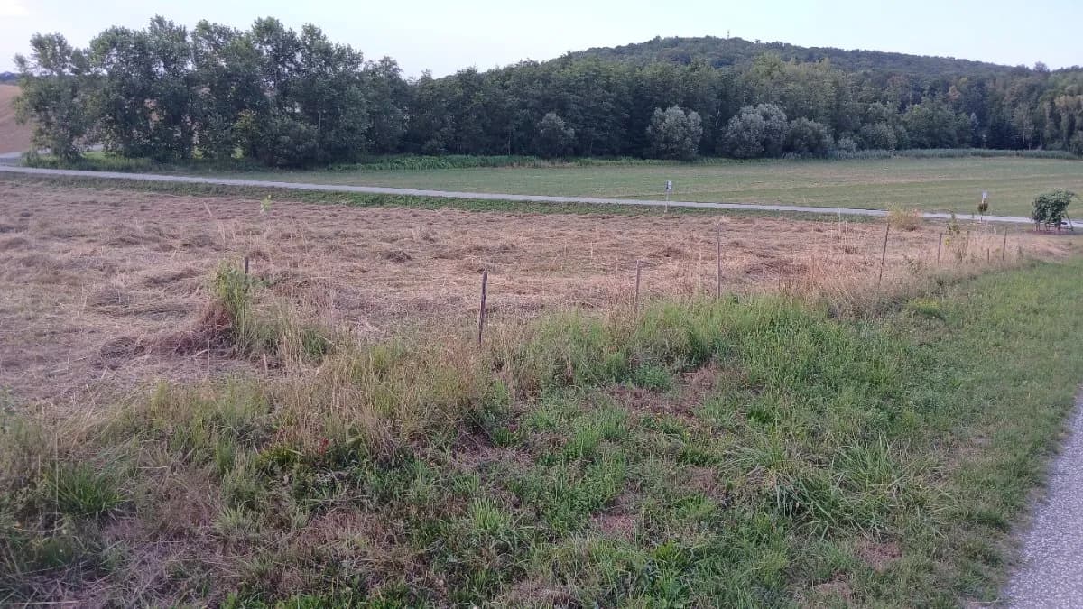 Grundstück kaufen in Güssing – 1 411 m², € 40.000 – Bild 5 von 5