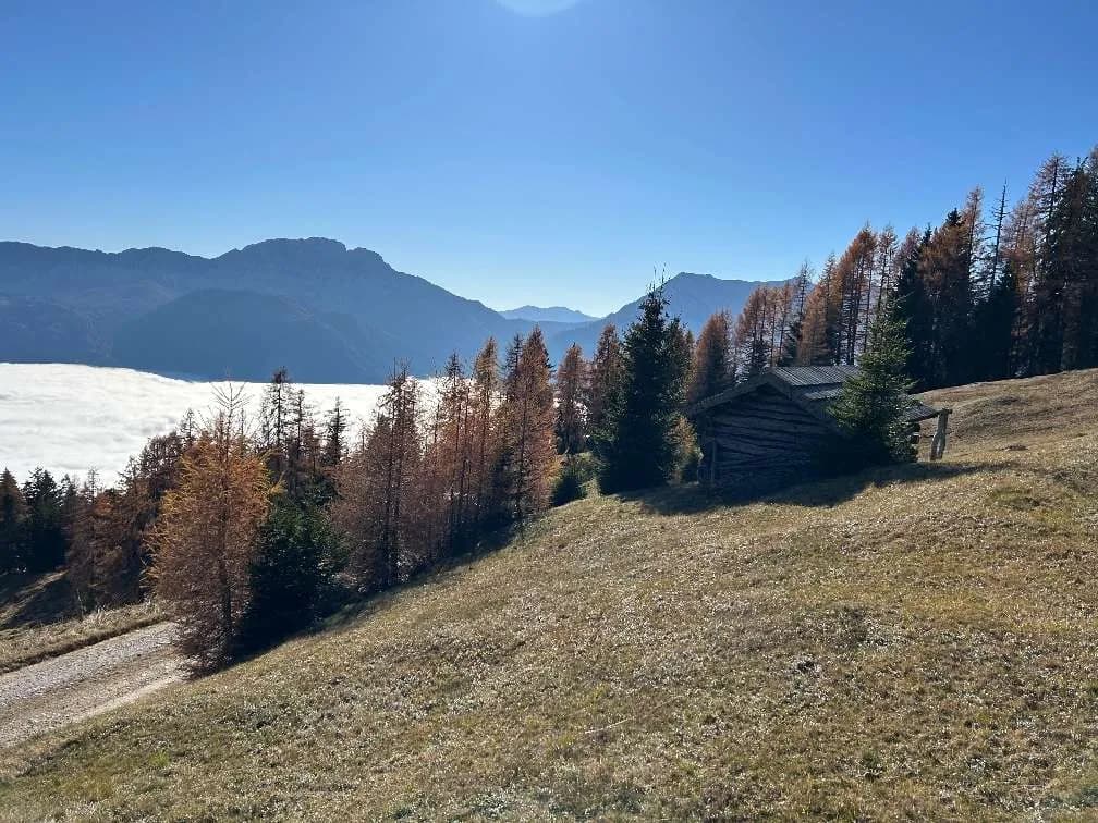 Grundstück kaufen in Spittal an der Drau – 1 250 m², € 312.500 – Bild 12 von 26