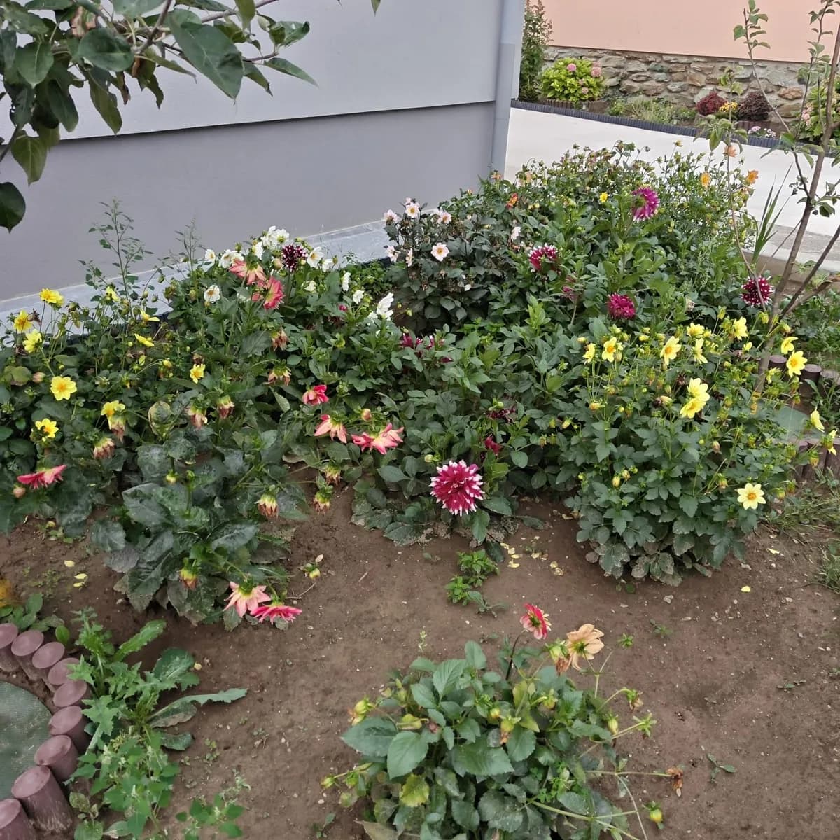 3-Zimmer-Haus mieten in Oberwart – 105 m², € 1.200 – Bild 3 von 28